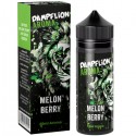 Melonberry Aroma - Dampflion Intense