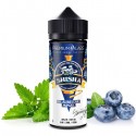 Dr. Fog Shisha Blaubeere Minze