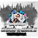 Dampfdidas Black & White